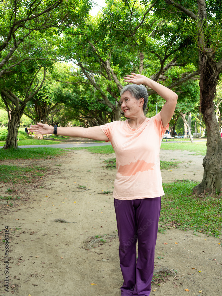 Portrait of happy senior adult elderly asia woman 60s pointing up to copy space in the park. Portrait of happy senior adult elderly asia woman 60s pointing up to copy space in the park.
