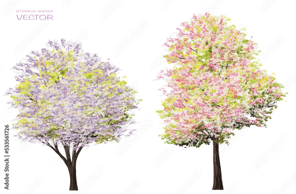 Vector watercolor blooming flower tree side view isolated on white background for landscape and architecture drawing, elements for environment or and garden,botanical elements for section in spring
