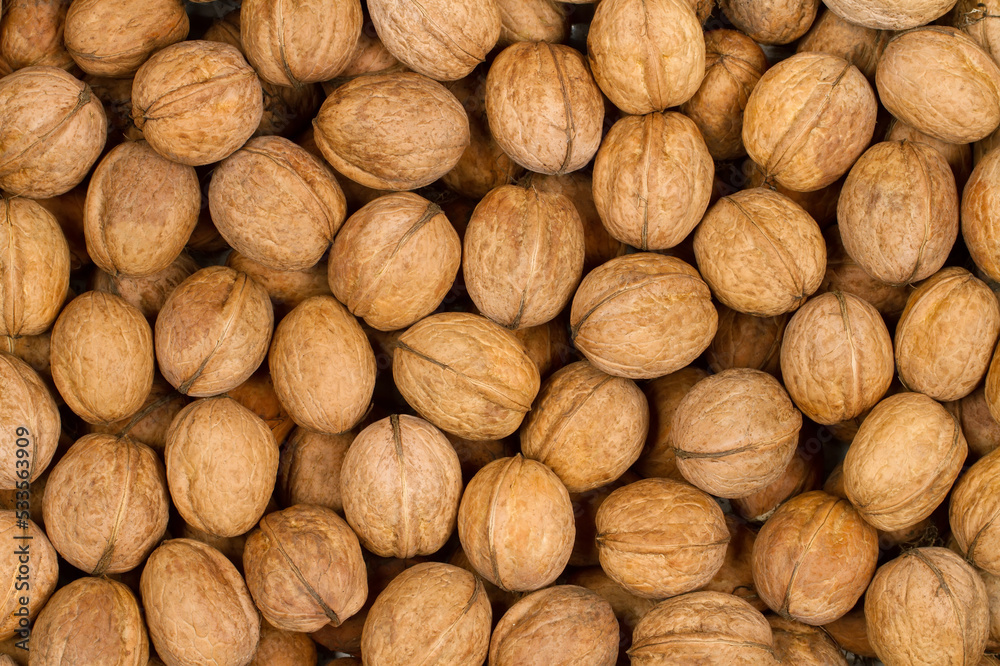 Walnut texture. Walnut texture.