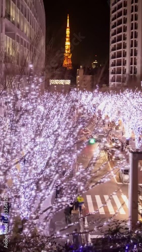 東京のタイムラプス夜景_06（けやき坂クリスマスイルミネーション）_縦長ビデオ