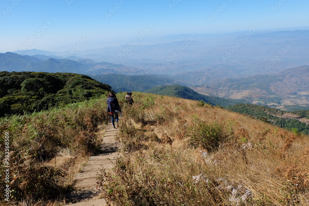 Backpacker among natural landscape of Doi Inthanon national park- The Highest mountain peak in Chiang mai, Thailand
