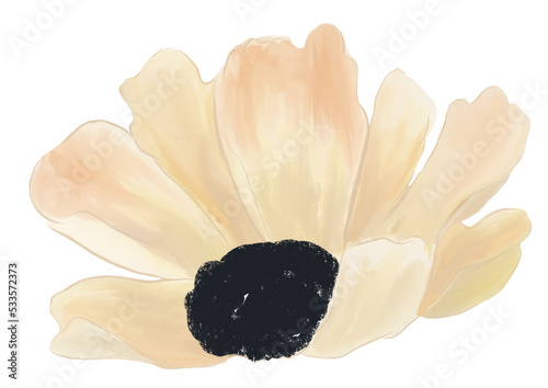 Beautiful summer  flower