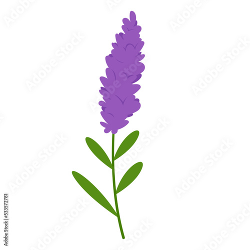 lavender flower icon flat vector illustration logo clipart