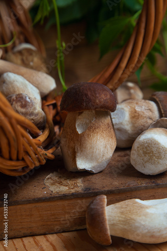 Selective focus on beautyfull porcini mushroom among the pile of wild porcini mushrooms on wooden background at autumn season..