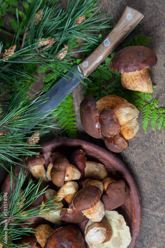 Imleria Badia or Boletus badius mushrooms commonly known as the bay bolete, clay bowl with mushrooms and knife on vintage wooden background..