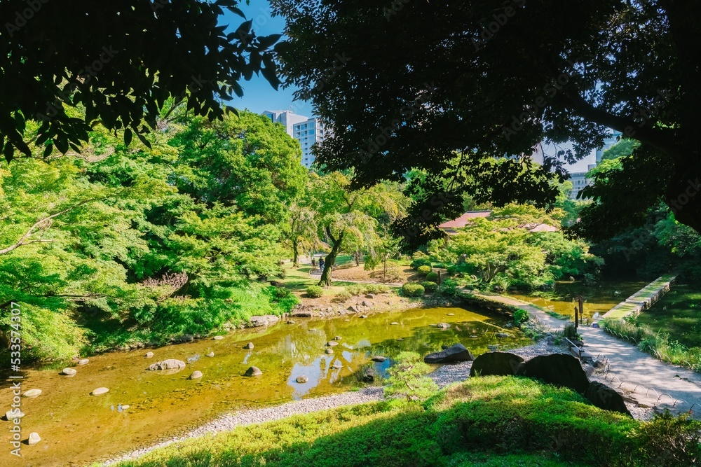Fototapeta premium spring in the park