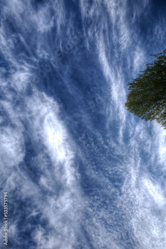 Deep Blue Vertical Straight Up Sky with Complex Stratus Cloud Patterns and Single Tree Accent