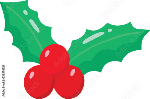 Hand Drawn christmas berries illustration