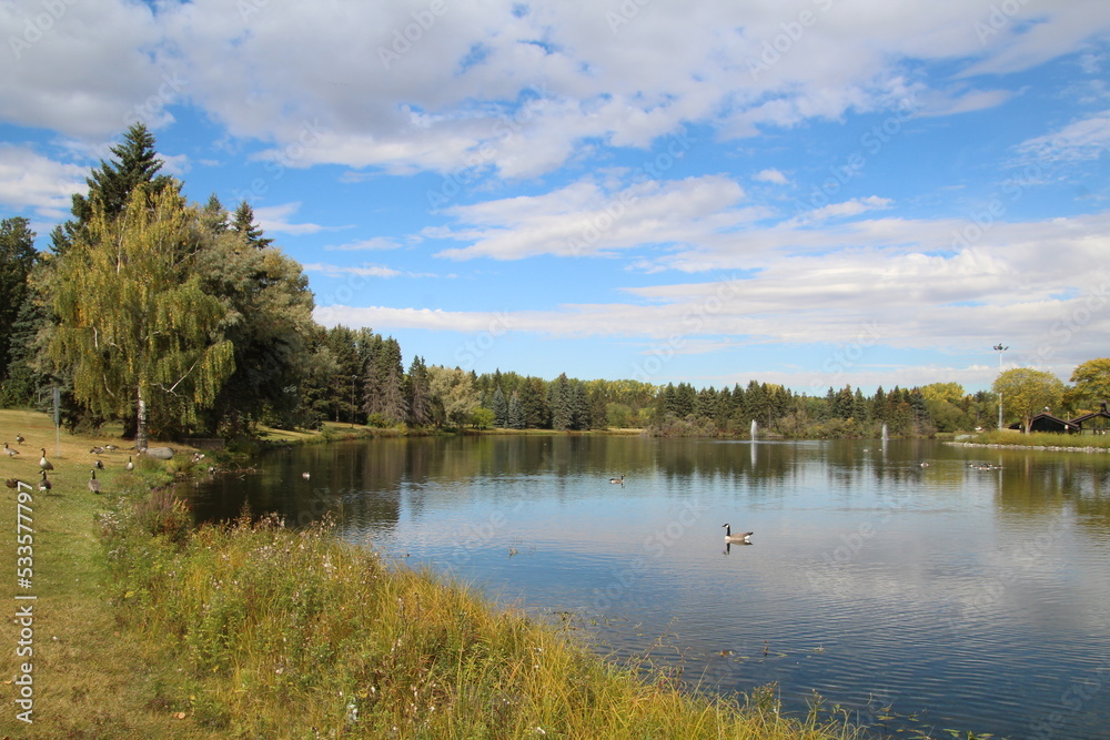 lake and forest