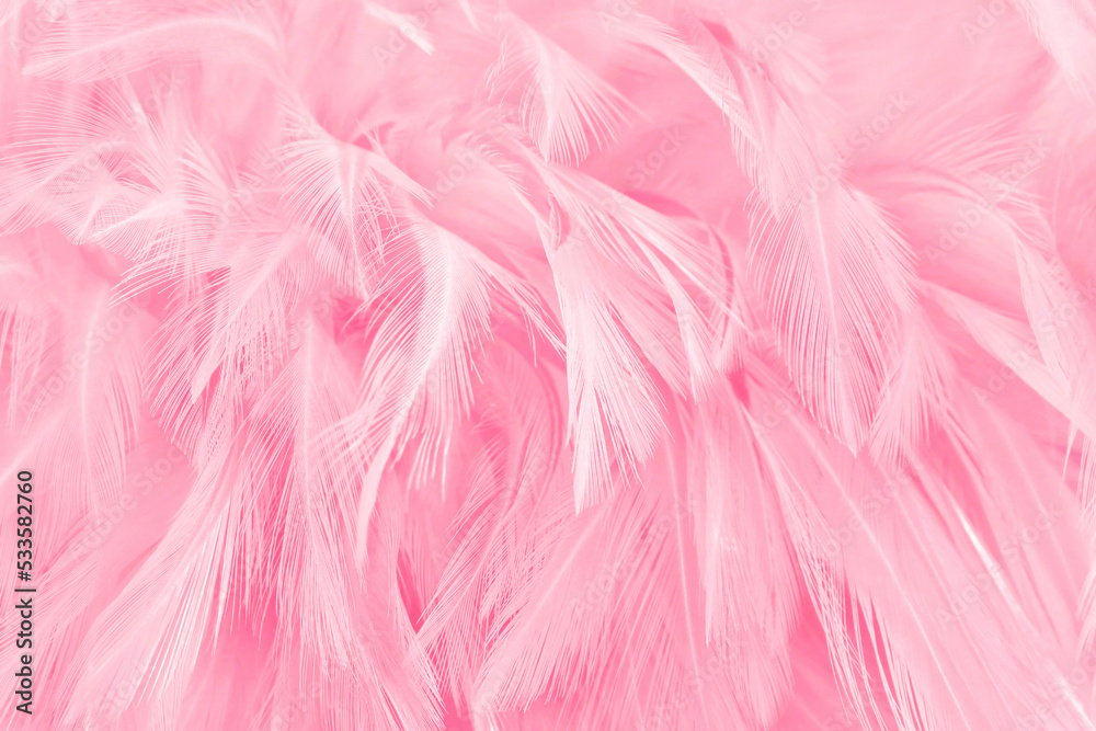 Soft pink bird feather pattern texture for background and design.