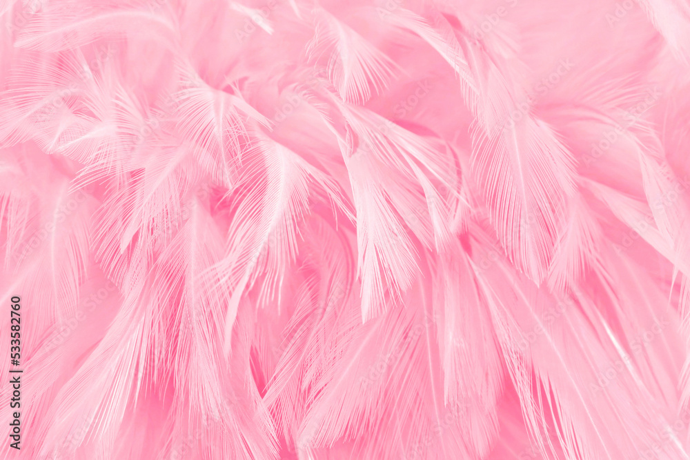 Soft pink bird feather pattern texture for background and design. Soft pink bird feather pattern texture for background and design.