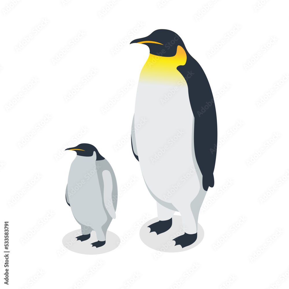 Fototapeta premium Isometric penguin. King penguin with chick on white background.