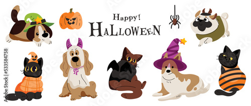 Happy Halloween day lovey pet vector. Cute collection of cats and dogs with halloween costumes, ghost, bat, witch, spider. Adorable animal characters in autumn festival for decoration, prints, cover.