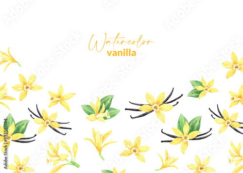 Watercolor yellow vanilla flowers  dried sticks and green leaves. Illustration of blooming orchid. Hand drawn perfume ingredient for recipe  label  packaging design.