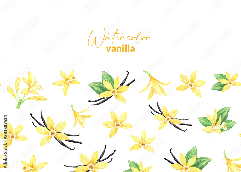Watercolor yellow vanilla flowers, dried sticks and green leaves. Border or band. Illustration of blooming orchid. Hand drawn perfume ingredient for recipe, label, packaging design, washi tape