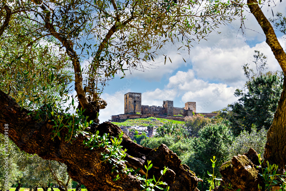 Fototapeta premium Views from the Parque de la Retama of the castle of Alcalá de Guadaira in Seville, in blue sky and white clouds