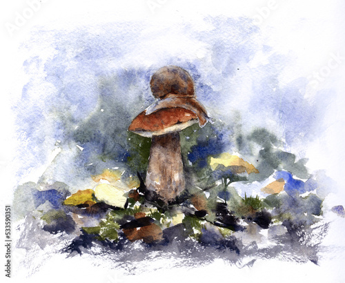 Watercolor drawing snail on the mushroom on the colorful background (ID: 533590351)