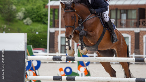A male rider on a bay horse at a show jumping competition. Close-up jump and overcoming a high obstacle. Front view.
