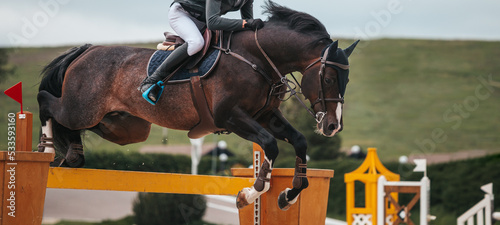 Equestrian Sport. A rider on a brown horse jumps over the obstacle in a show jumping competition. Show Jumping themed photo.