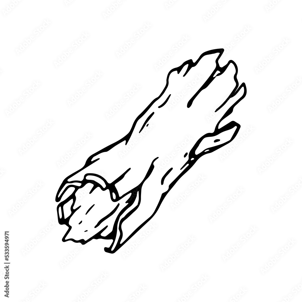 Fototapeta premium Dry wood in tattoo doodle style. Hand drawn stump illustration.