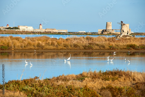 water birds in the WWF reserve of the Saline di Trapani in Sicily