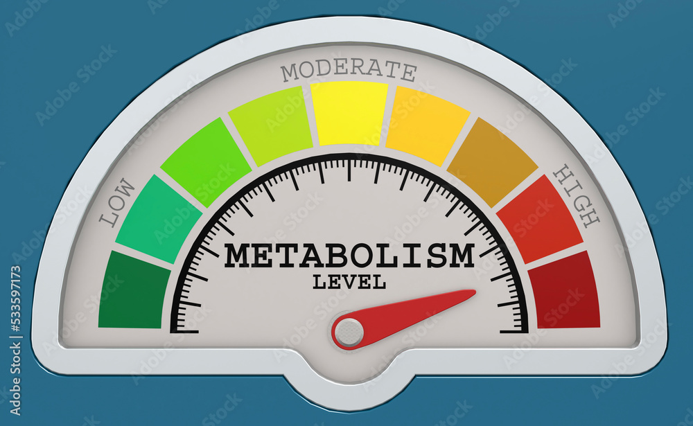 Metabolism level measuring scale with color indicator