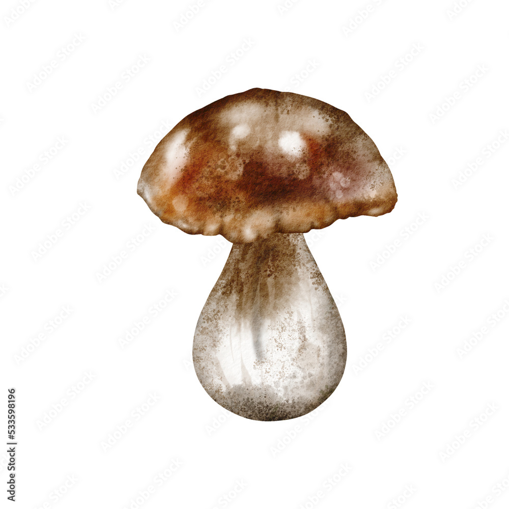 Watercolor autumn illustration - Fall mushrooms Watercolor autumn illustration - Fall mushrooms