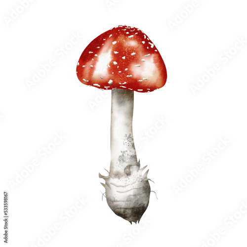 Watercolor autumn illustration - Fall mushrooms