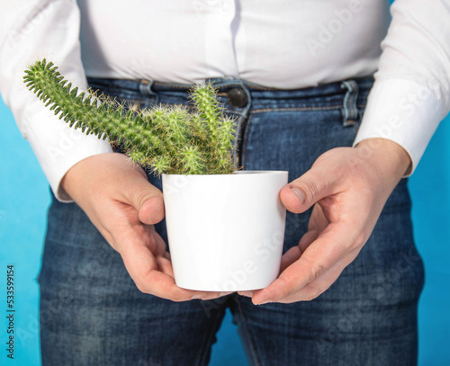 A man holds a white pot with a cactus in his hands against the background of his groin. The concept of care and hygiene in the groin area, intimate haircut, close-up photo
