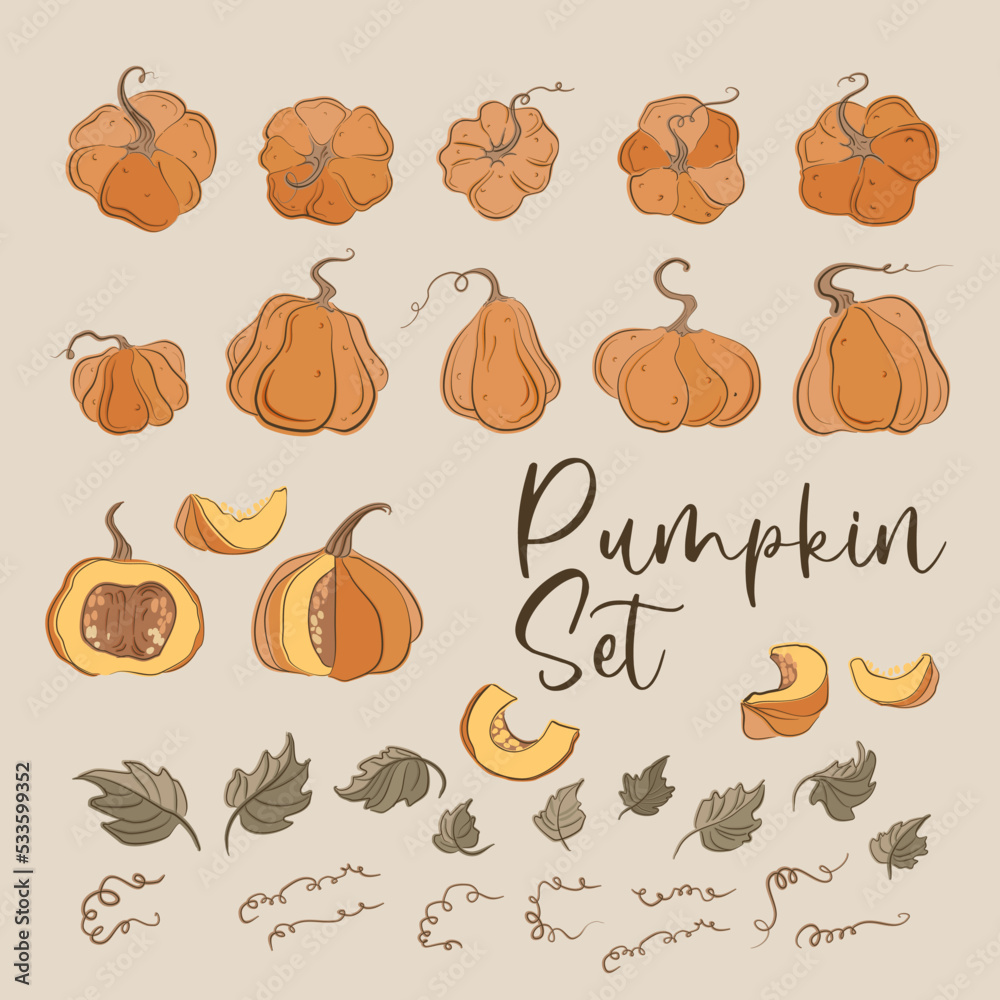 Pumpkins, squash and leaves vector symbols illustrations. Fall harvest gourds. Realistic hand-drawn vector illustration set isolated. Collection of line drawing pumpkins whole, slice and halves. Pumpkins, squash and leaves vector symbols illustrations. Fall harvest gourds. Realistic hand-drawn vector illustration set isolated. Collection of line drawing pumpkins whole, slice and halves.