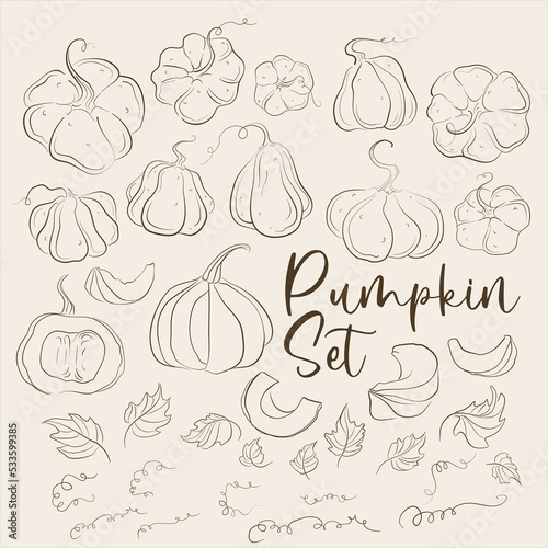 Pumpkins, squash and leaves vector symbols illustrations. Fall harvest gourds. Realistic hand-drawn vector illustration set isolated. Collection of line drawing pumpkins whole, slice and halves.