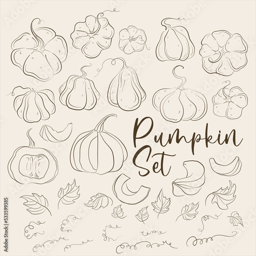 Pumpkins, squash and leaves vector symbols illustrations.  Fall harvest gourds. Realistic hand-drawn vector illustration set isolated. Collection of line drawing pumpkins whole, slice and halves.