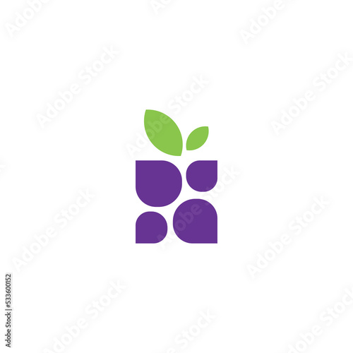 Abstract Berry Fruit Logo Design