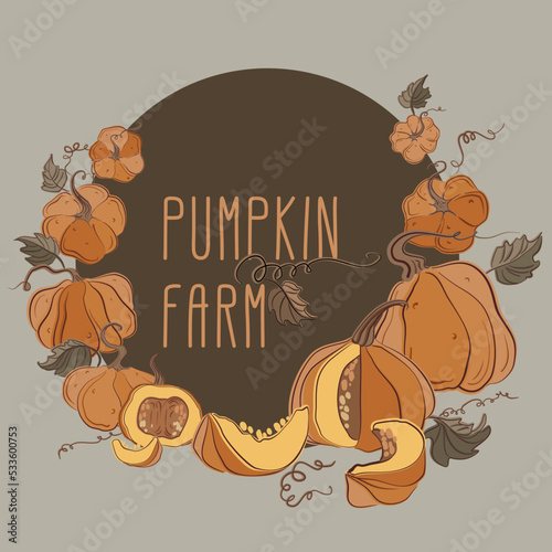 Different types of autumn whole pumpkins. Autumn vegetable composition with pumpkin, squash, leaves. Autumnal still life of fall season harvest. Realistic hand-drawn vector illustration set isolated.
