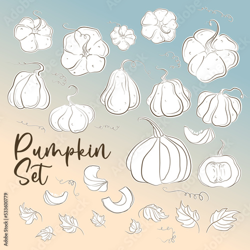 Pumpkins, squash and leaves vector symbols illustrations.  Fall harvest gourds. Realistic hand-drawn vector illustration set isolated. Collection of line drawing pumpkins whole, slice and halves.