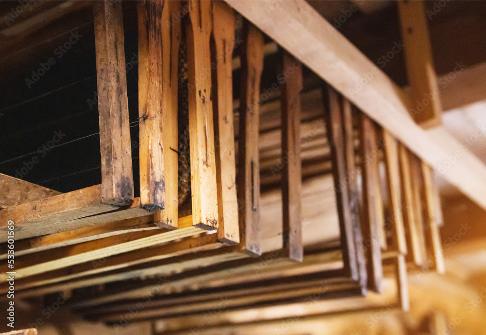 Bee frames with sealed combs and honey hang in the shed. Breeding bees, beekeeping, honey extraction, indusrty Bee frames with sealed combs and honey hang in the shed. Breeding bees, beekeeping, honey extraction, indusrty
