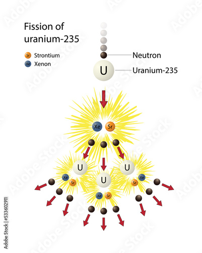 illustration of physics and chemistry, nuclear chain reaction,  fission of uranium 235 reaction, When uranium 235 is reacted by irradiation with neutrons, uranium atoms split, releasing more neutrons