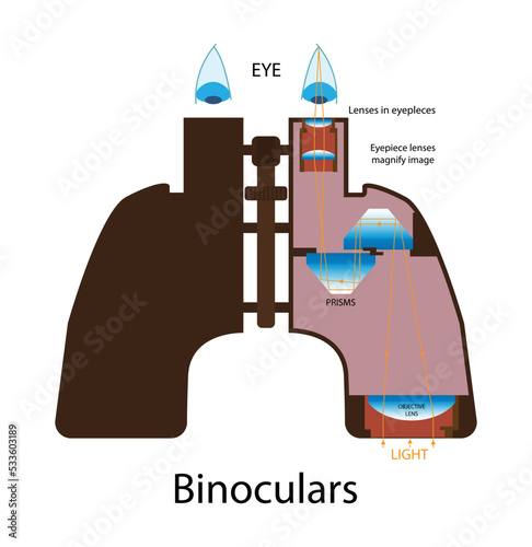 illustration of physics, Binoculars or field glasses are two refracting telescopes mounted side by side and aligned to point in the same direction, anatomy of binoculars