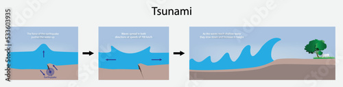 illustration of physics and biology,Tsunami waves are caused by earthquakes under the ocean or by volcanic eruptions, tsunami has a high destructive power, emergency situation and natural phenomenon