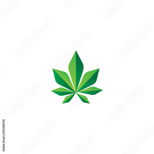 green leaf isolated on white background