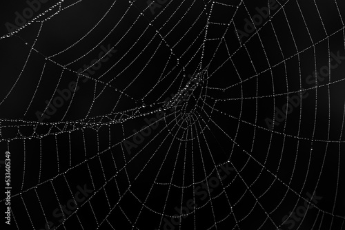 Close-up of a spider web with dew drops isolated from a black background photo