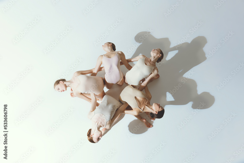 Group of young girls, ballet dancers performing, posing isolated over grey studio background. Blooming flower. Top view