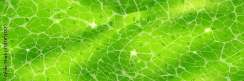 Plant cell texture under a microscope or abstract green wallpaper. Leaf tissue layer vector macro illustration. Microbiology background. Scientific structure.