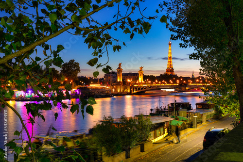 Fototapeta Naklejka Na Ścianę i Meble -  The Pont Alexandre III bridge in Paris by the Seine river at night. France
