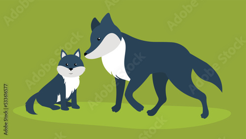 Wolf and little cub  illustration  vector