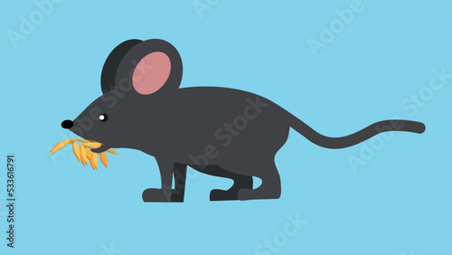 mouse on a blue background