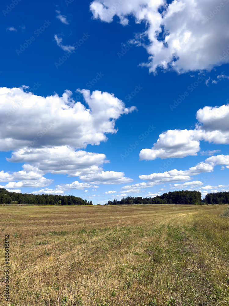 Late summer landscape with empty field and blue sky. Late summer landscape with empty field and blue sky.