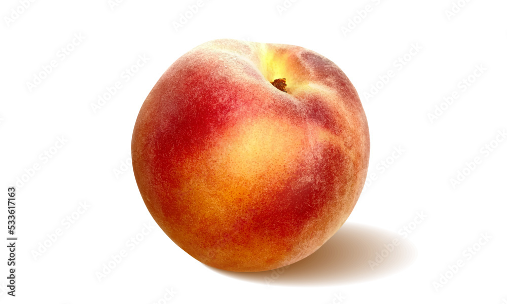 Peach fresh on white background. Healthy farm healthy food. Peach natural background. Healthy vegetarian food, healthy lifestyle. Top view. Healthy eating. Peach vector background. Peach fresh on white background. Healthy farm healthy food. Peach natural background. Healthy vegetarian food, healthy lifestyle. Top view. Healthy eating. Peach vector background.