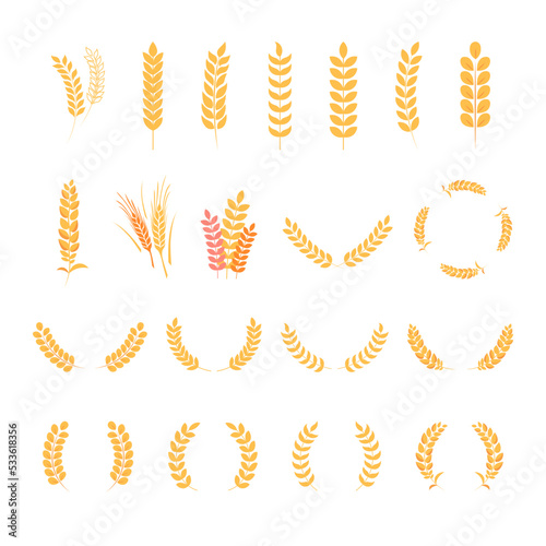 Wheat wreath or barley ears set. Harvest wheat grain, growth rice stalk and whole bread grains