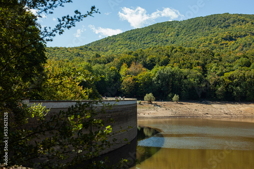 bridge over the lake in the forest